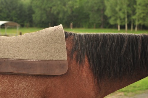 Pad western Classic Equine 100% Wool Felt — widok boczny, konturowany kształt ze skórzanymi wzmocnieniami