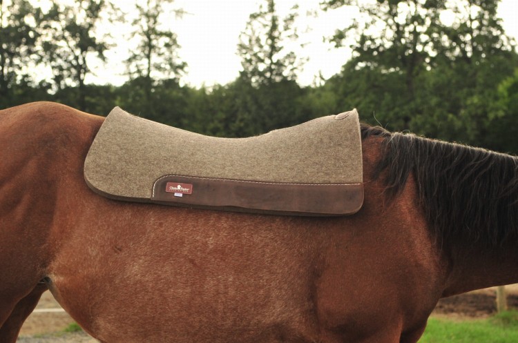Pad western Classic Equine 100% Wool Felt — pad na grzbiecie konia