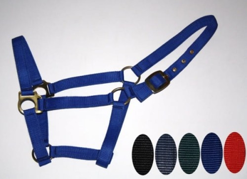 Kantar nylonowy Equi rozmiar L ciemnoniebieski — mosiężne okucia i nity, taśma nylonowa — dostępne też w czarnym, szarym i różowym — HorsePassion.pl