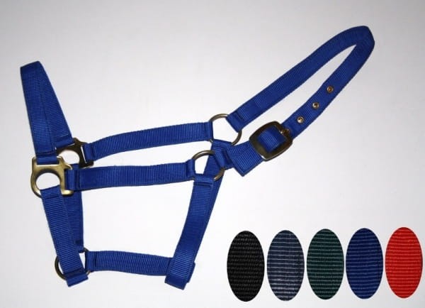 Kantar nylonowy Equi rozmiar L ciemnoniebieski — mosiężne okucia i nity, taśma nylonowa — dostępne też w czarnym, szarym i różowym — HorsePassion.pl