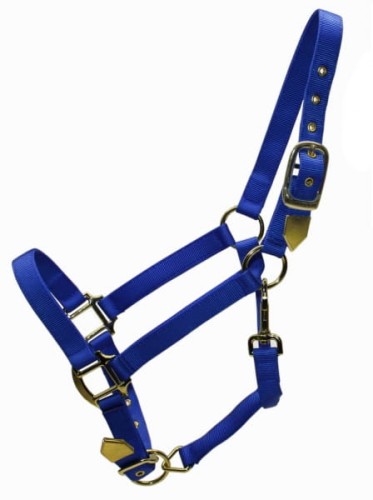 Kantar Deluxe Equi — mosiężne nity i klamry na taśmie nylonowej, detale okuć