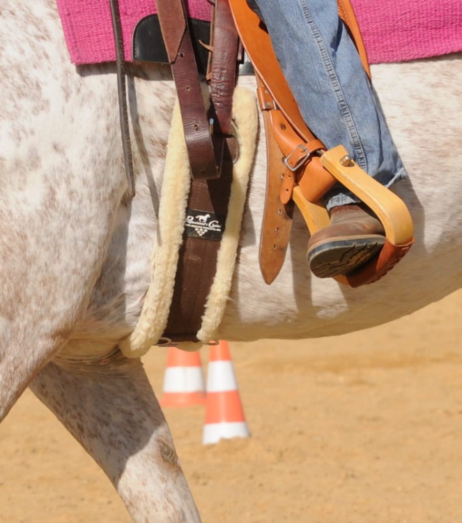 Popręg westernowy Professional Choice z wełną merino brązowy — widok z góry, D-ringi, stalowe klamry — HorsePassion.pl