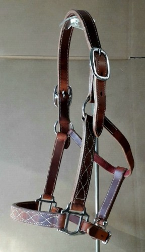 Kantar skórzany Cattelman's — widok tylny, pełna regulacja potylicy i nachrapnika, srebrna klamra i kółka, skóra olejowana Kentucky USA