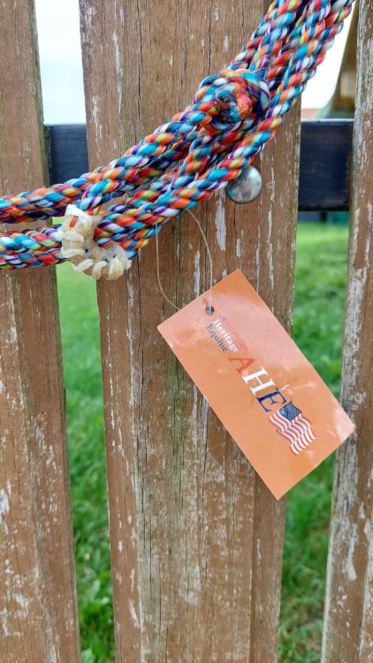 Lasso dziecięce — zbliżenie na etykietę AHE z flagą USA i hondę z rawhide burnerem