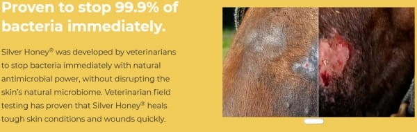 Absorbine Silver Honey Rapid Wound Repair spray 236ml - antybakteryjny żel rany otarcia koń detal 3