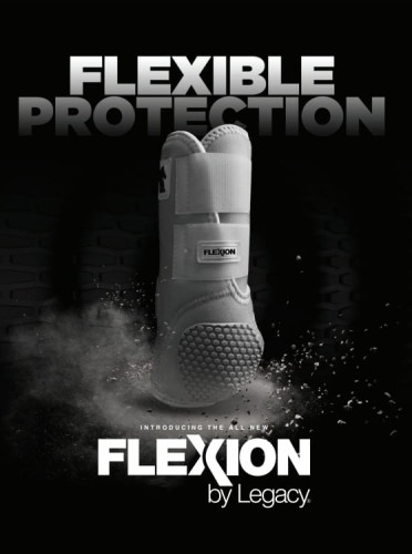 Białe ochraniacze Classic Equine na tylne nogi