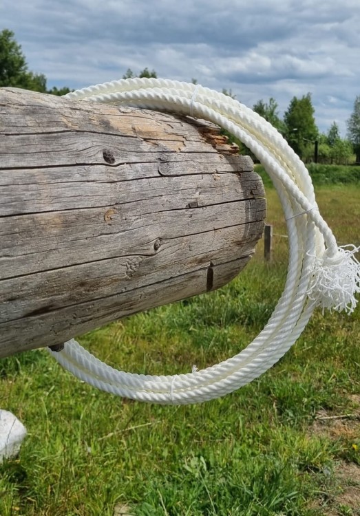 Lasso Weaver Leather 7/16" × 30' białe z hondą — zawieszone na belce, widok pełny na tle pastwiska