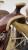siodlo-western-do-jazdy-w-terenie