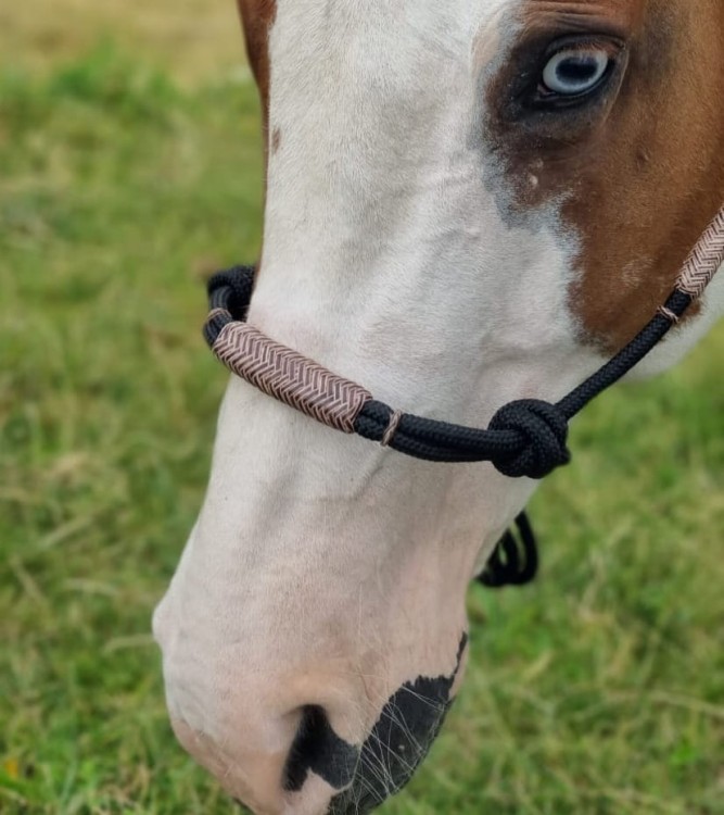 Kantar sznurkowy — zbliżenie splatanego nachrapnika z surowej skóry rawhide, kontrast czarnej linki i naturalnego brązu
