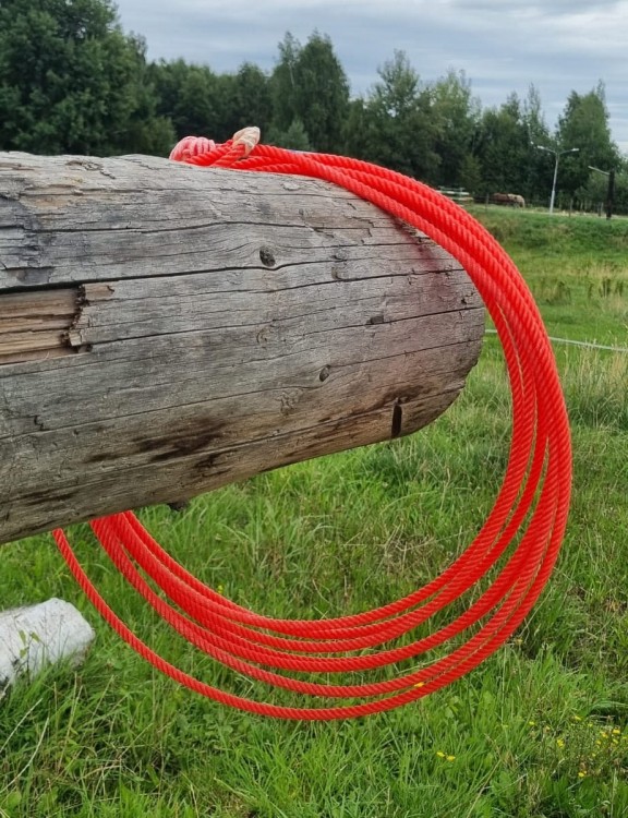 Lasso Classic Equine The Heat koralowe — zawieszone na belce, widok pełny na tle pastwiska