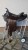 uzywane-siodlo-westernowe-circle-l-krotkie-15
