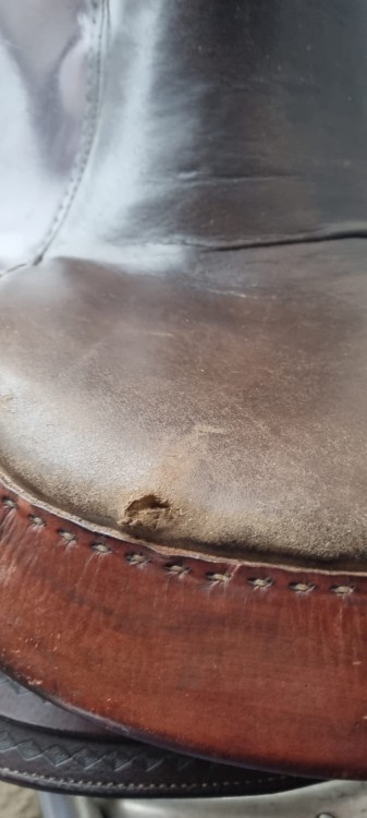 Przetarcie siedziska Montana Saddlery 130 lb279 — uszkodzenie przy przedniej krawędzi do podłoża