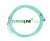 Detal lasso Powerline4 Lite XXS 3/8" - etykieta Classic Equine CoreTech nylonowy rdzeń miętowe