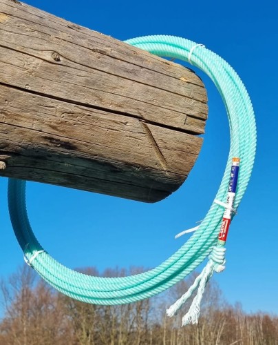 Lasso Classic Equine Powerline4 Lite miętowe — zawieszone na belce drewnianej, 4-splotowa konstrukcja