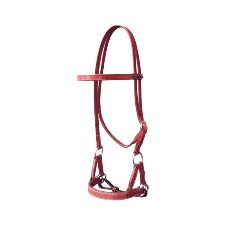 Sidepull Westernwelt kółko stal nierdzewna detal okucie — HorsePassion.pl