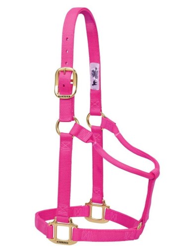 Kantar stajenny Weaver Original hot pink — 1" nylon triple-ply, mosiądz — HorsePassion.pl