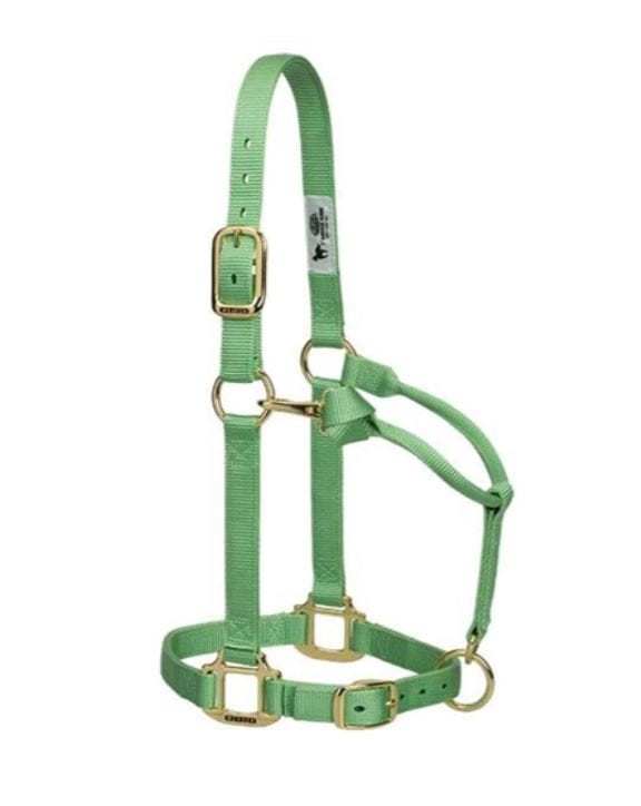 Kantar stajenny Weaver Original pistacjowy — HorsePassion.pl