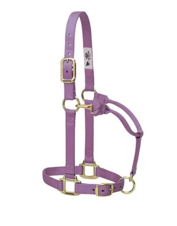 Kantar stajenny Weaver Original lawenda — HorsePassion.pl