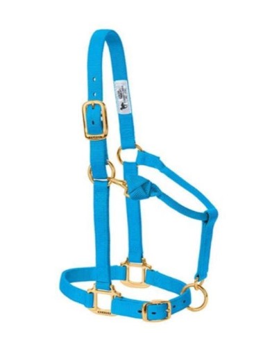 Kantar stajenny Weaver Original błękitny — potrójny nylon, mosiężne okucia, regulacja podgardło i podbródek — HorsePassion.pl