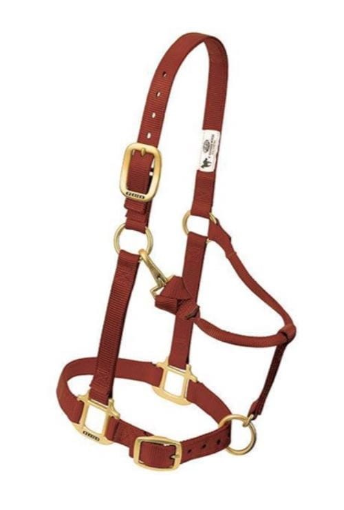 Kantar stajenny Weaver Original cynamon — HorsePassion.pl