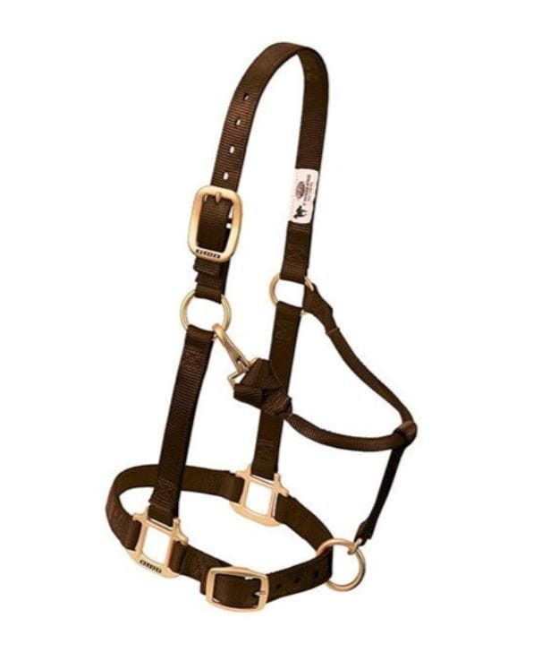 Kantar stajenny Weaver Original brązowy — HorsePassion.pl