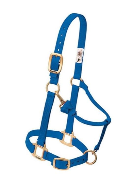 Kantar stajenny Weaver Original niebieski — HorsePassion.pl