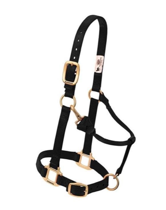 Kantar stajenny Weaver Original czarny — HorsePassion.pl