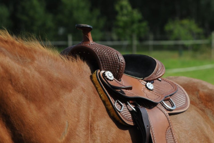 Dziecięce siodło western White Star na koniu — widok z boku podczas jazdy