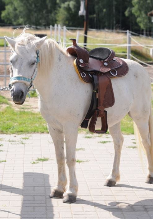 Dziecięce siodło westernowe White Star — ujęcie z dołu, widok na podkład i strzemiona