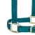 teal2.webp