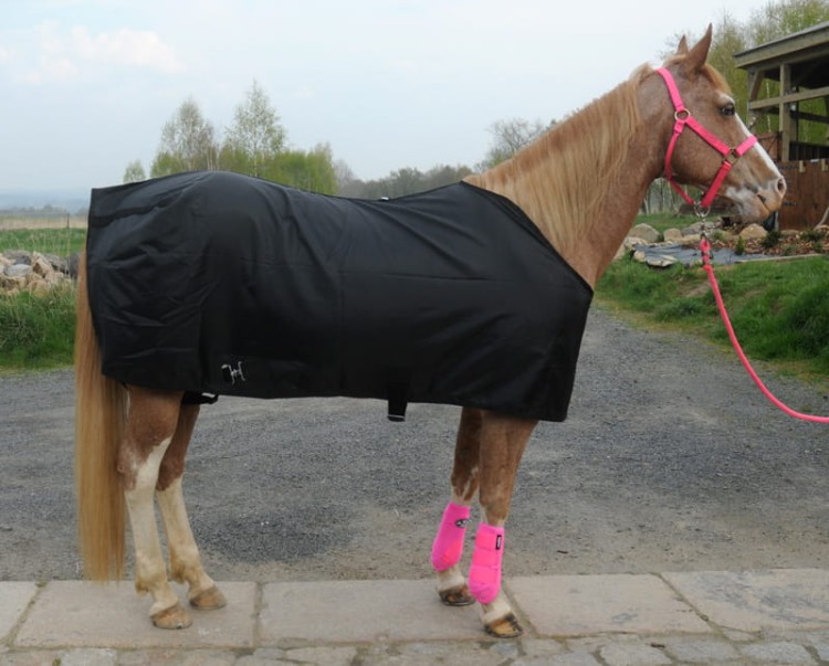 Derka letnia nylonowa Top Score czarna